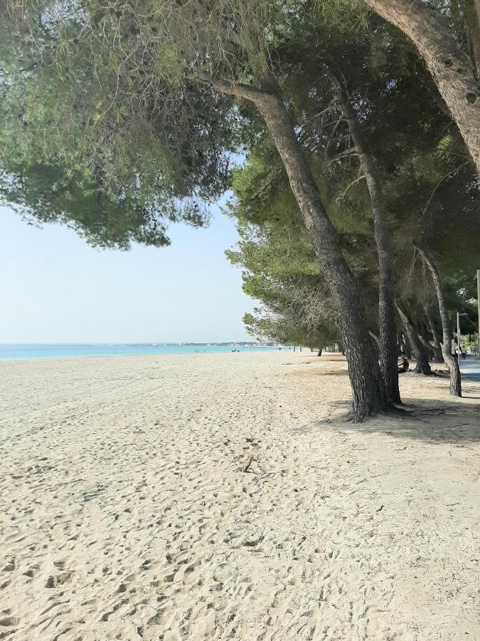 Beach Apartment Minerva Port de Alcudia  Zewnętrze zdjęcie